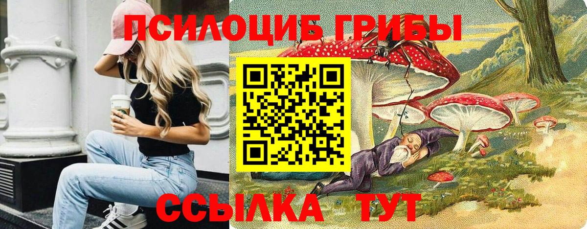 Псилоцибиновые грибы Psilocybe  Вход с VPN  Лесозаводск 