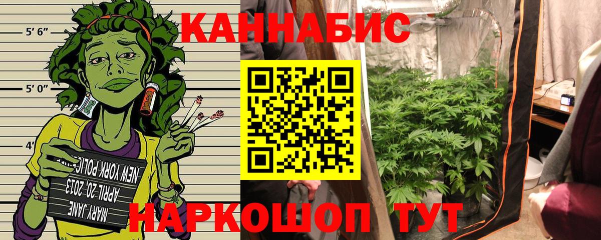 Лесозаводск  Канабис тримм  Вход с VPN  Марихуана ГИДРОПОН  Марихуана план 